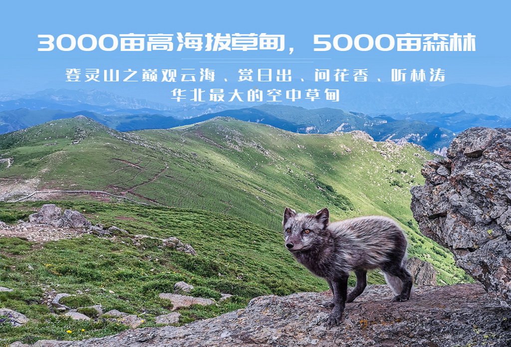 20220704_112734_023